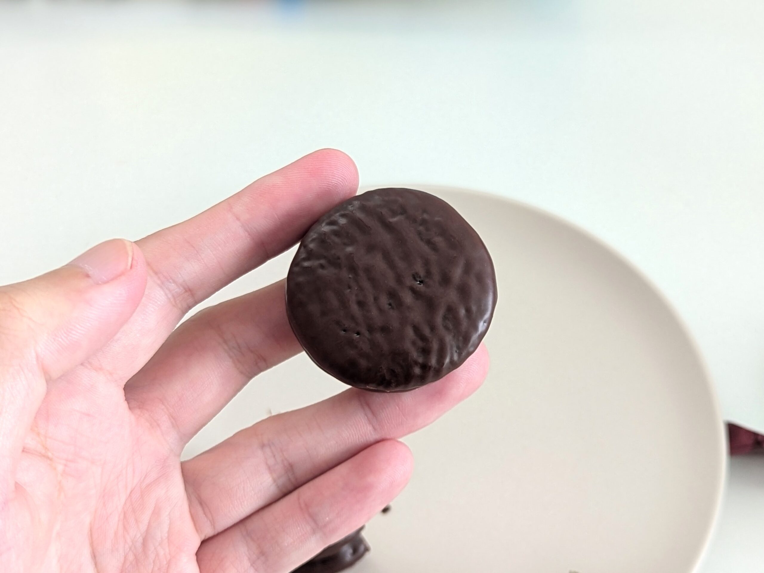 チョコパイ（高知、喫茶スプーンのベイクドチーズケーキ） (14)