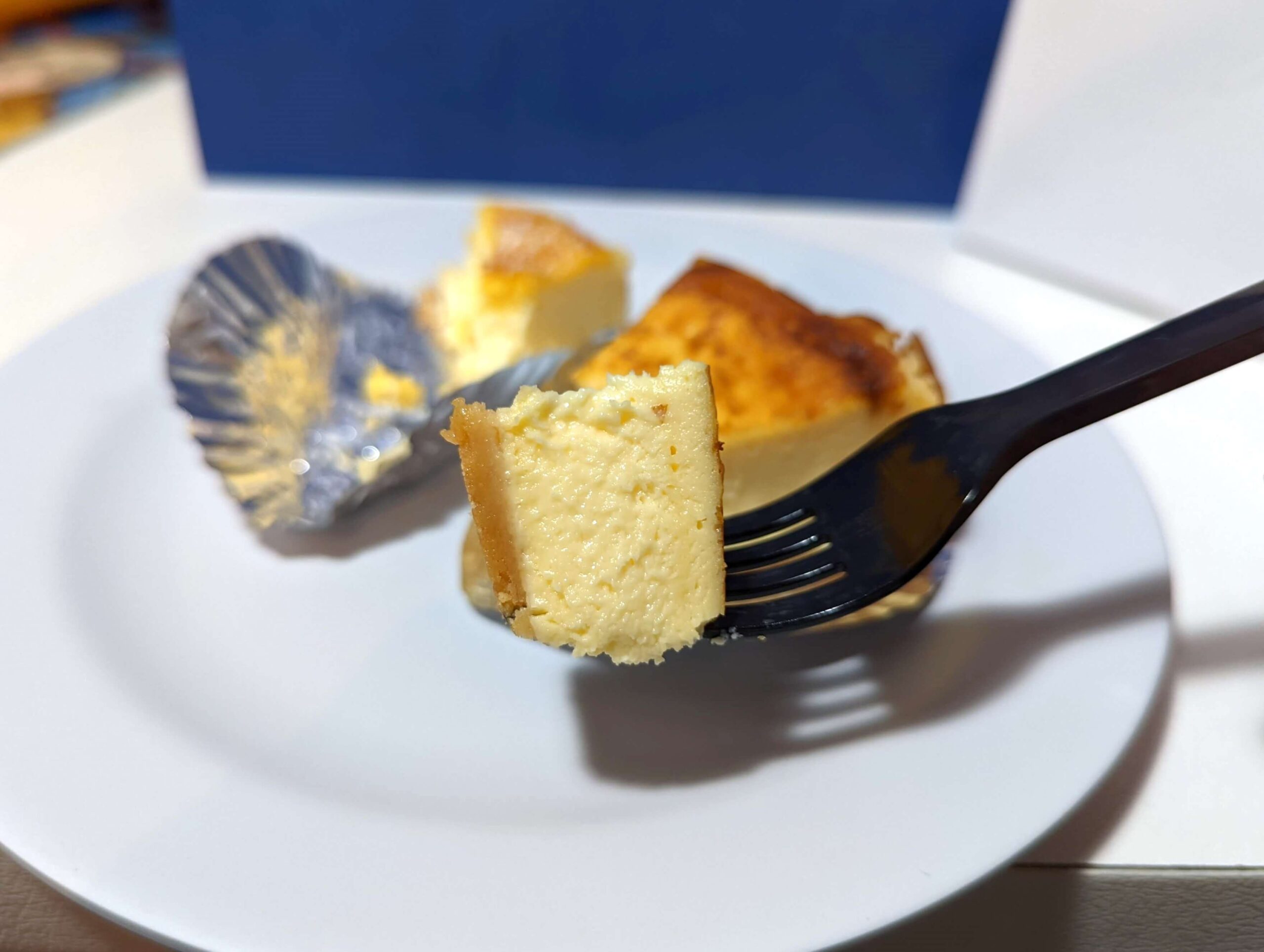 西葛西「パティスリー ル・ラピュタ」のバスクチーズケーキと東京フロマージュ (8)