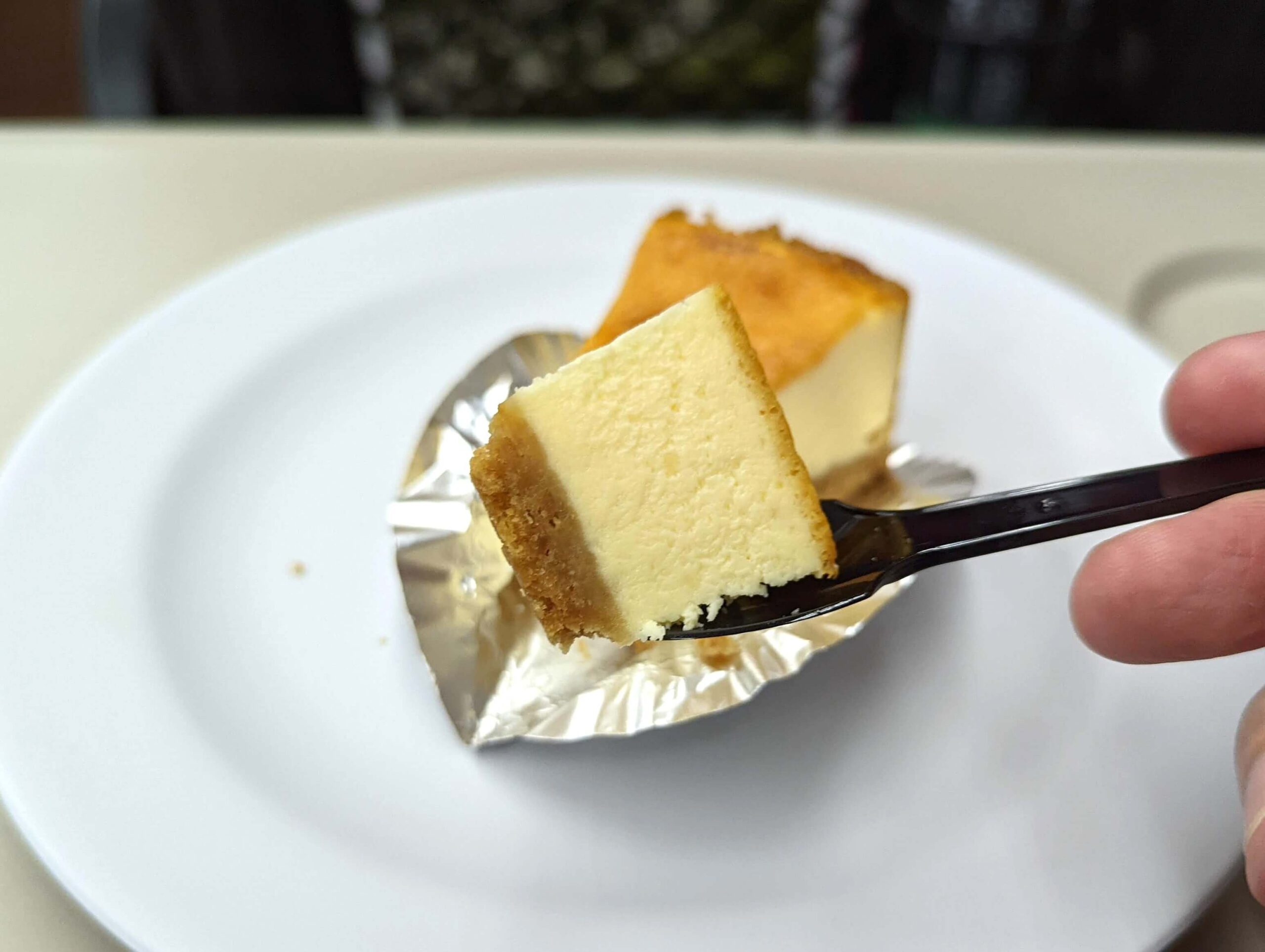 金沢・みんみんぜみ チーズケーキのベイクドチーズケーキ (1)