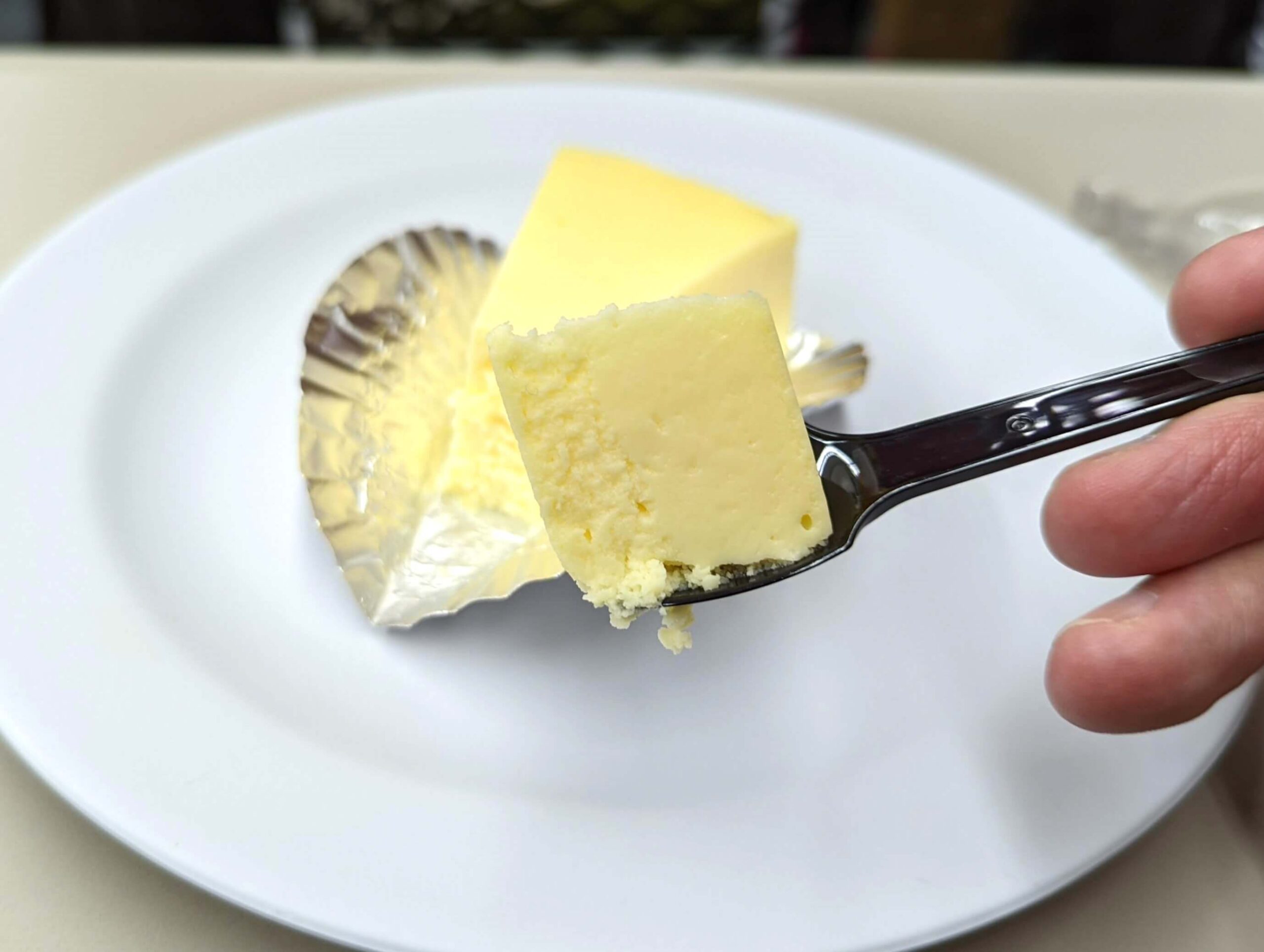 金沢・みんみんぜみ チーズケーキのニューヨークチーズケーキ (3)