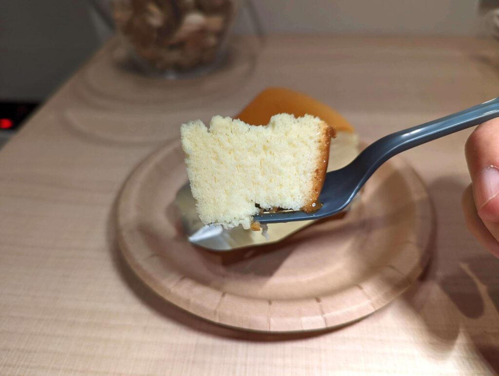 岡山・白十字（HAKUJUJI）のチーズケーキ (13)