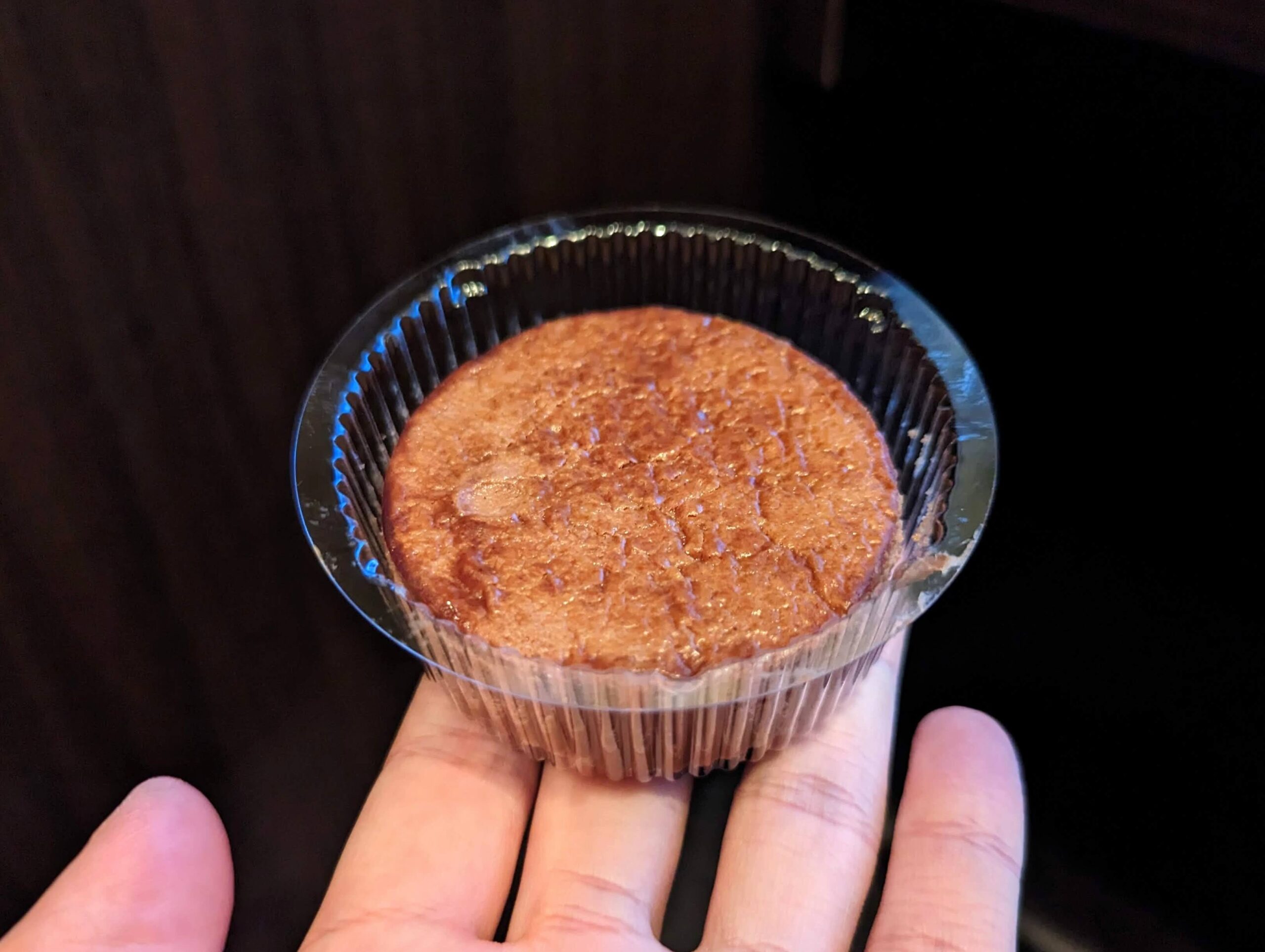 ローソン・濃厚生チョコチーズケーキ (6)