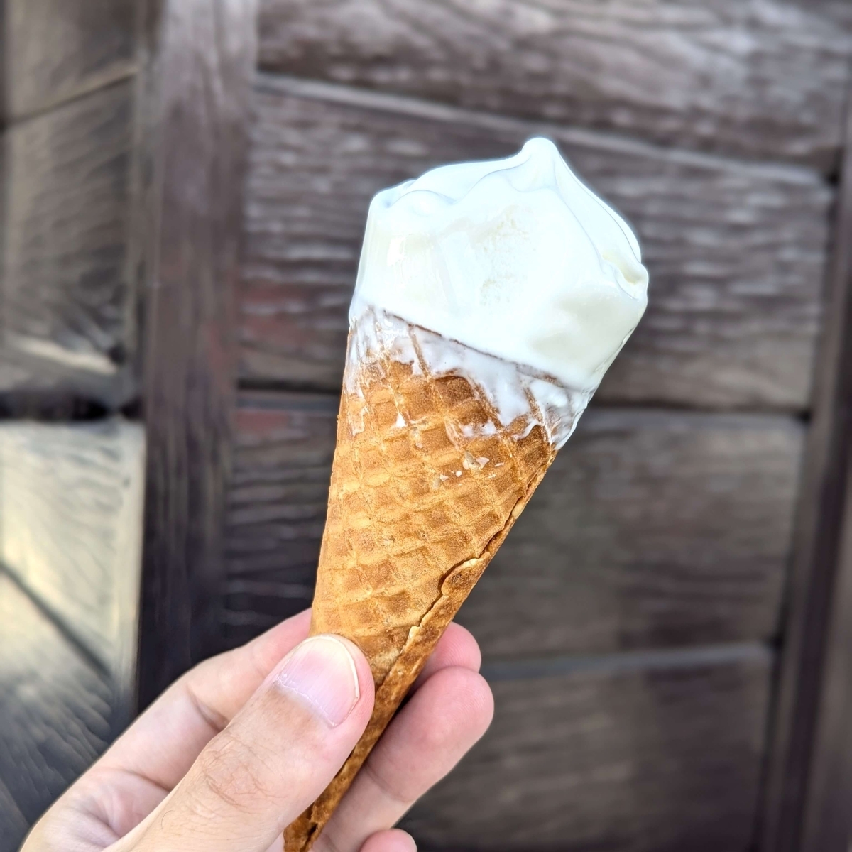 高円寺【トリアノン】のスフレチーズケーキ、ロイヤルチーズケーキを食べてみた