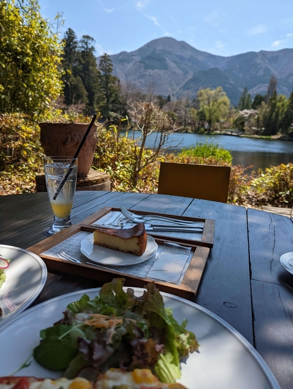 由布院・CAFE LA RUCHE （カフェラリューシュ）のチーズケーキの写真 (2)