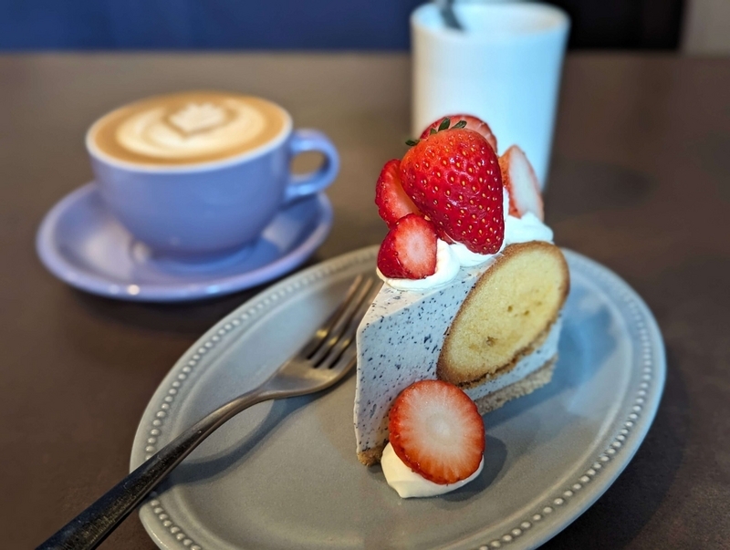 新宿御苑・TSUBASA COFFEE（ツバサコーヒー）・いちごのレアチーズケーキ　2024年4月3日 (19)