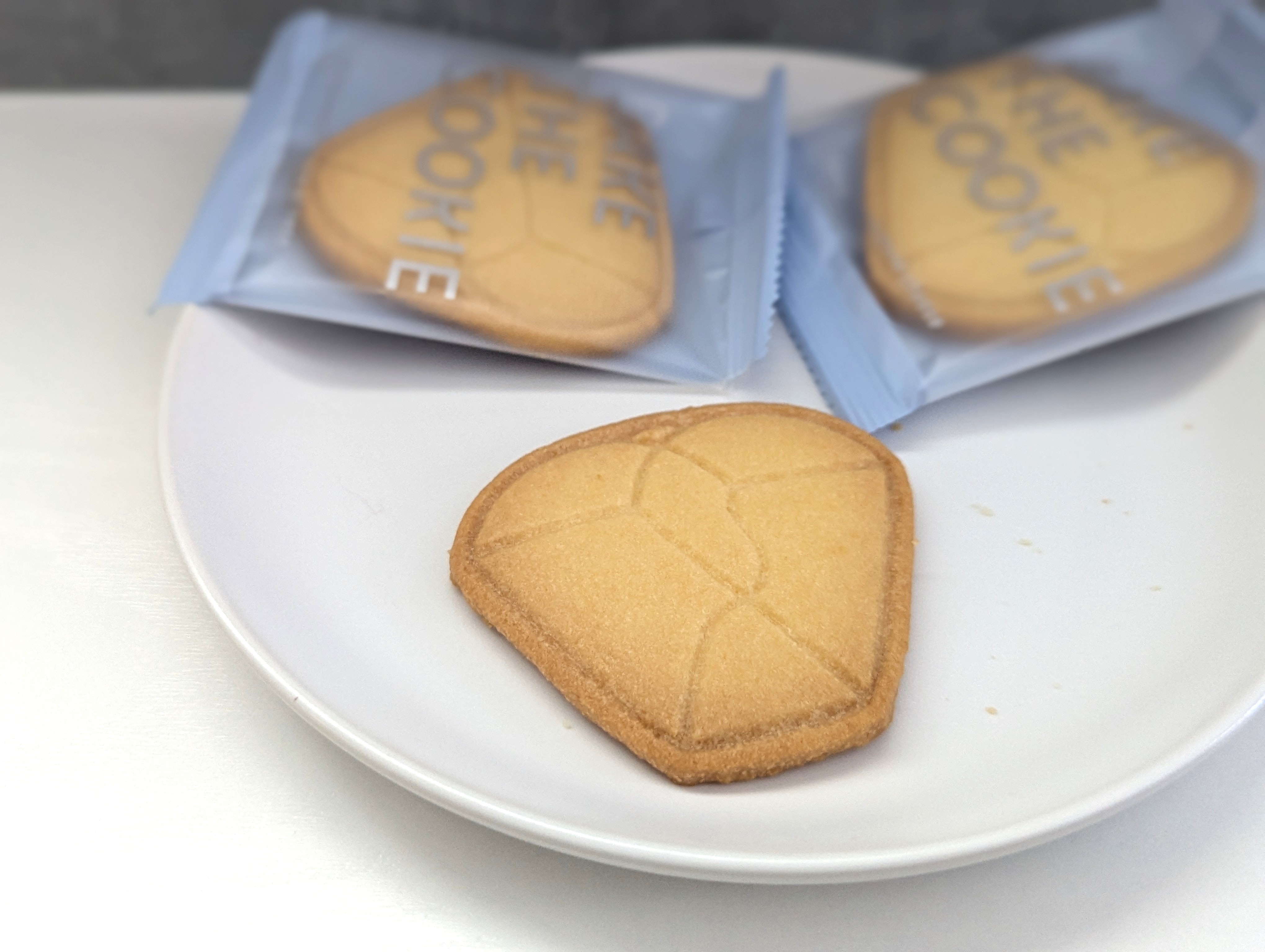 BAKE CHEESE TART ベイクTHEクッキー (14)