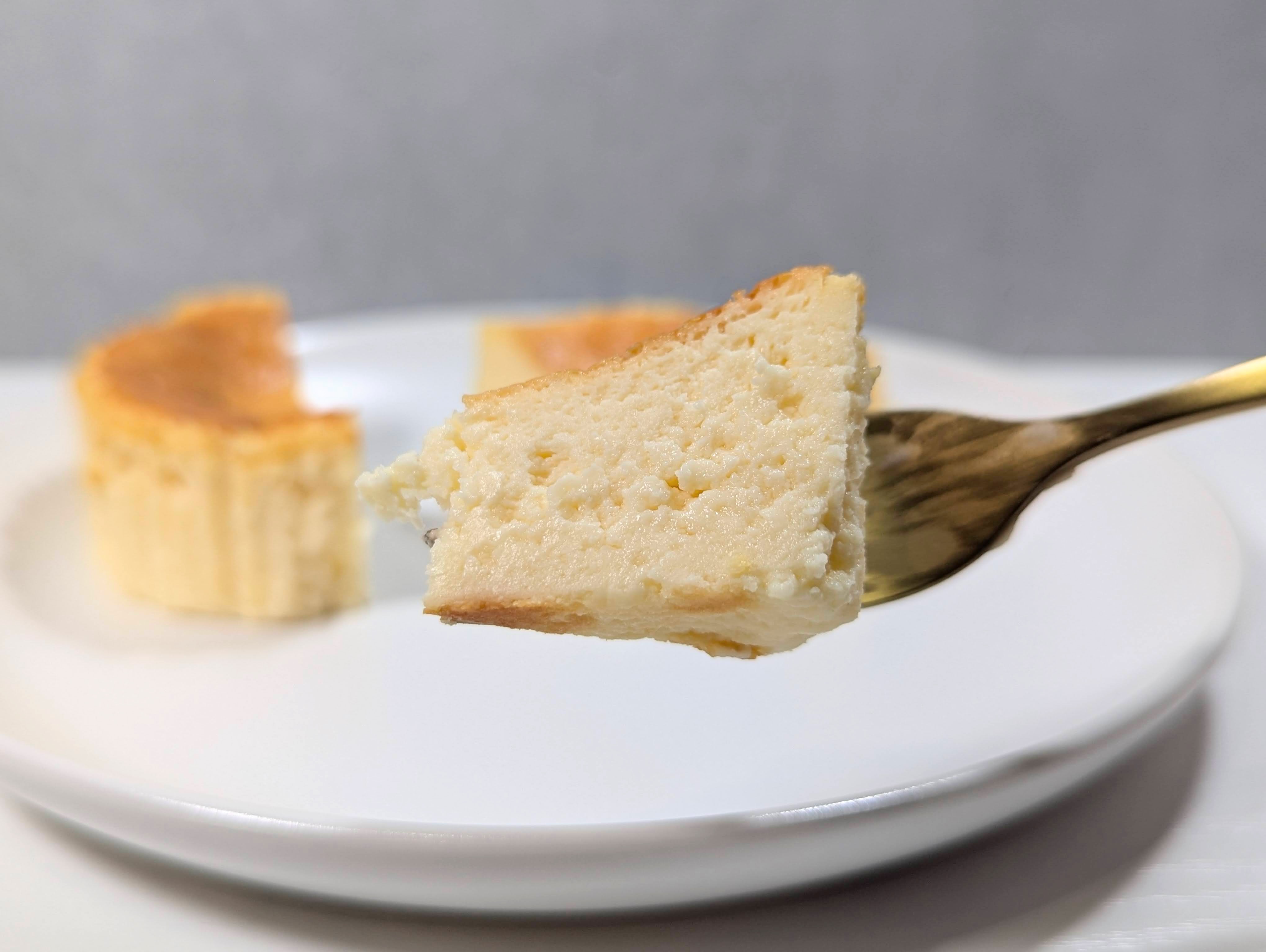 ミニストップ、バスクチーズケーキ (14)