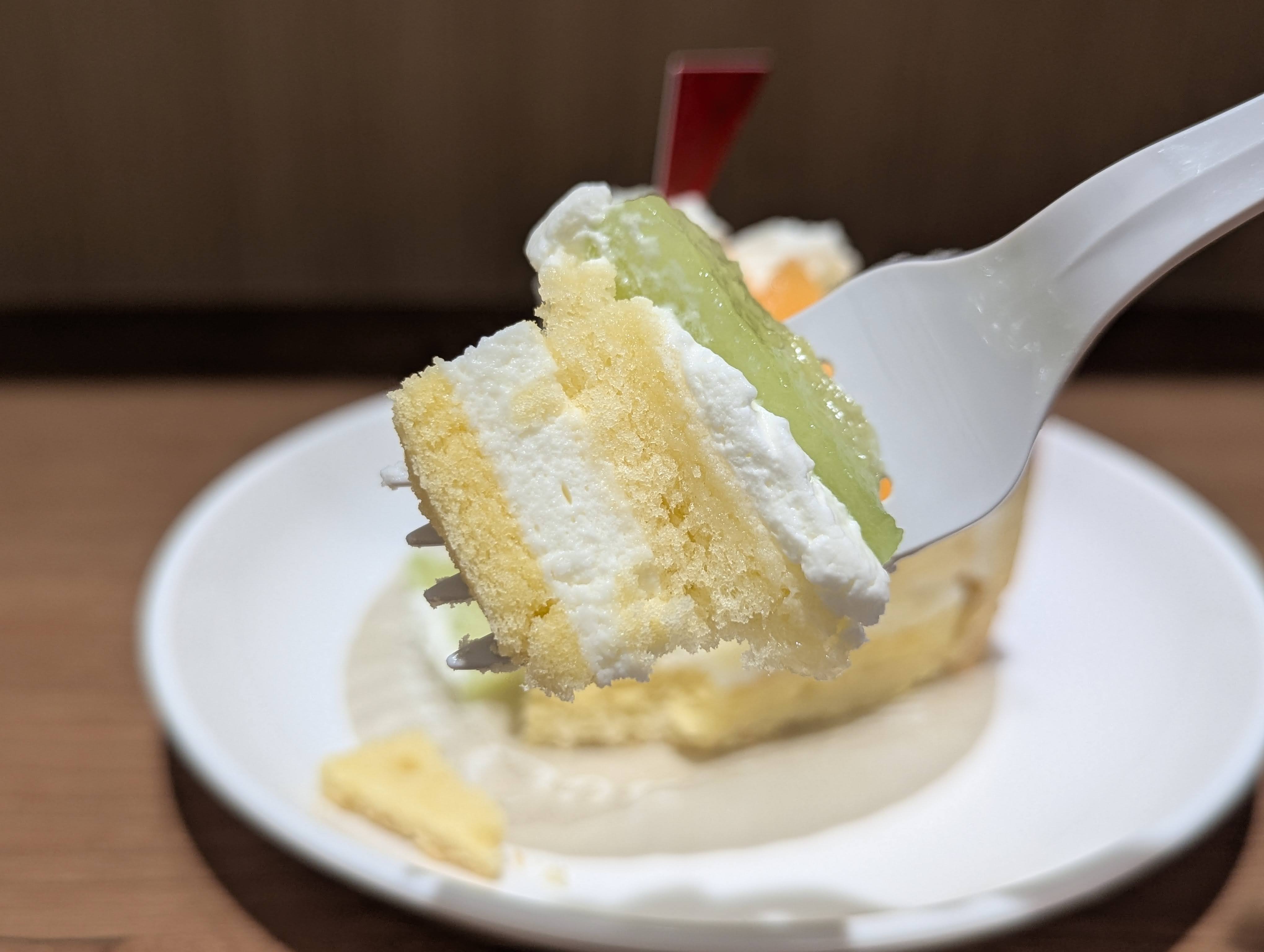 YATSUDOKI（ヤツドキ）茨城県産メロンのフロマージュタルト (11)
