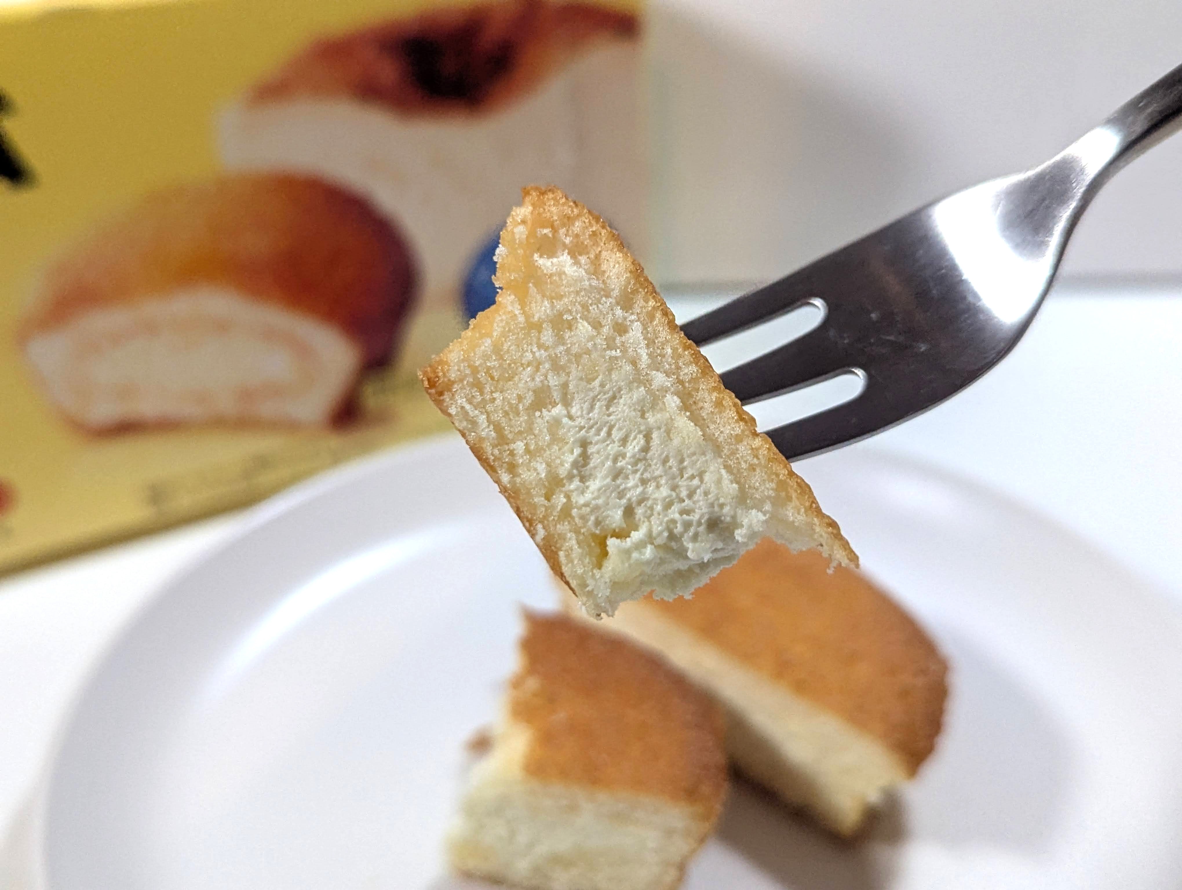 ロッテ、カスタードケーキ（バスクチーズケーキ）GAZTA (13)