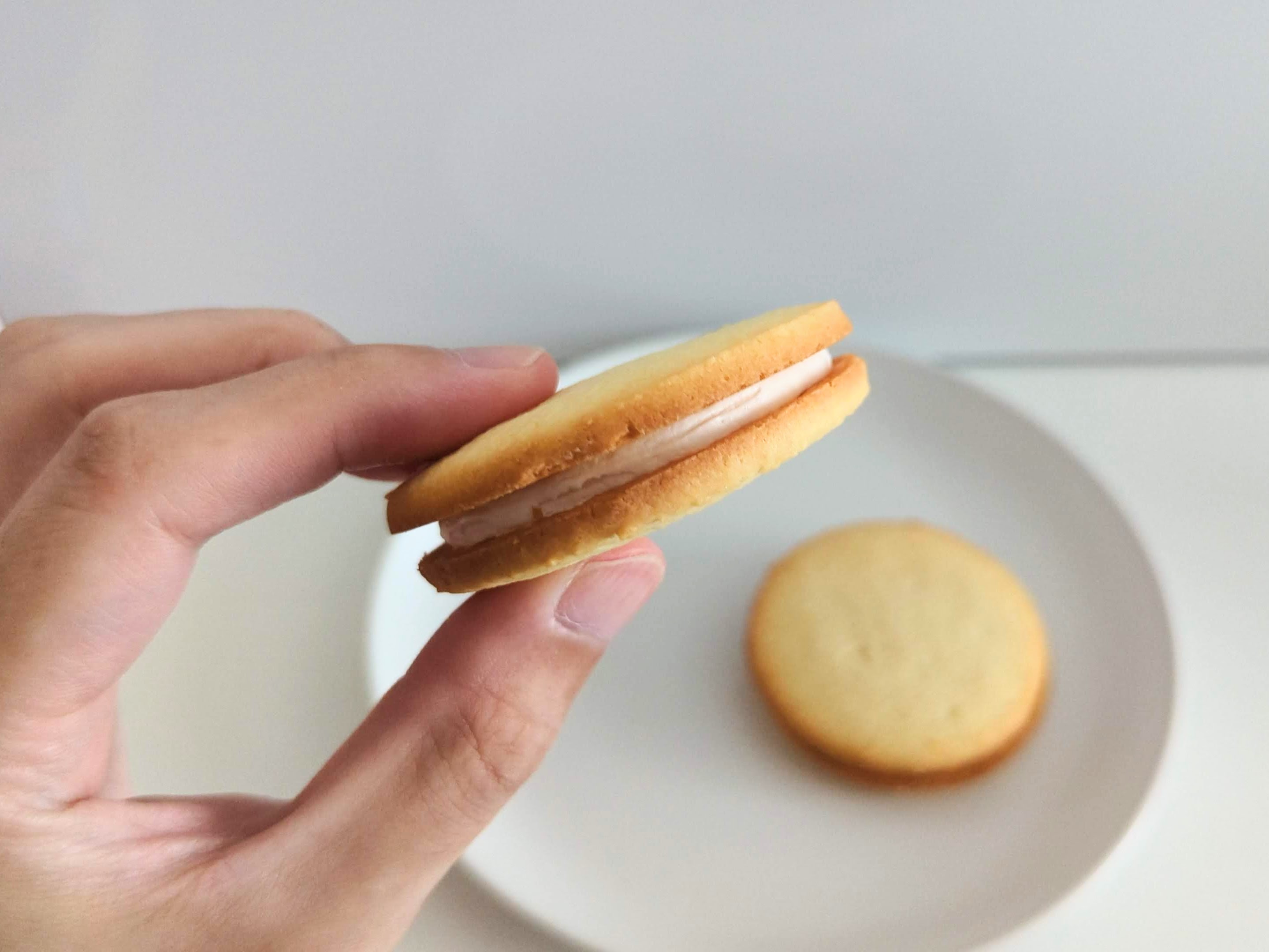 森永製菓「ディアガレットサンド<チーズケーキ仕立て>」 (16)