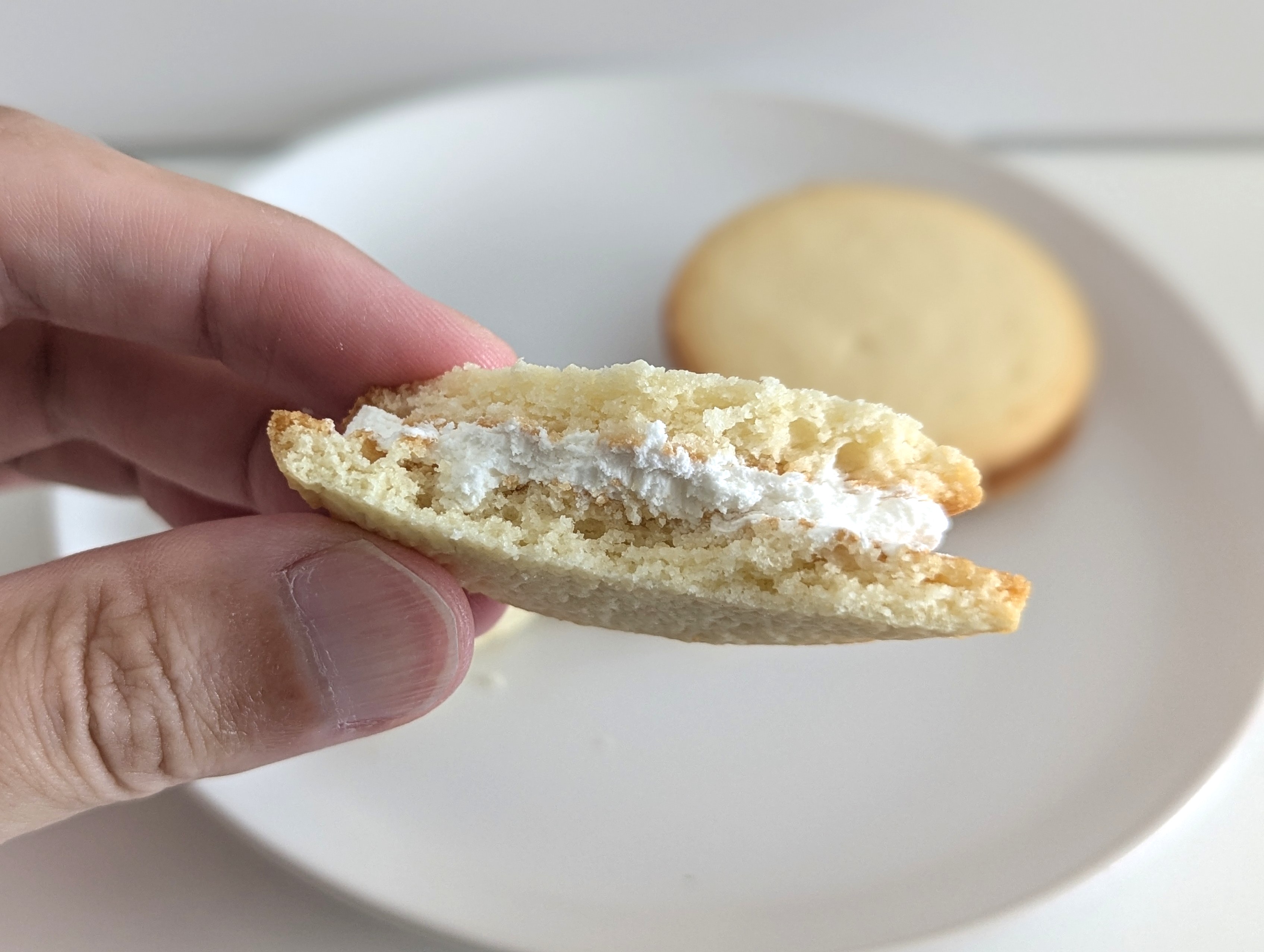 森永製菓「ディアガレットサンド＜チーズケーキ仕立て＞」 (10)