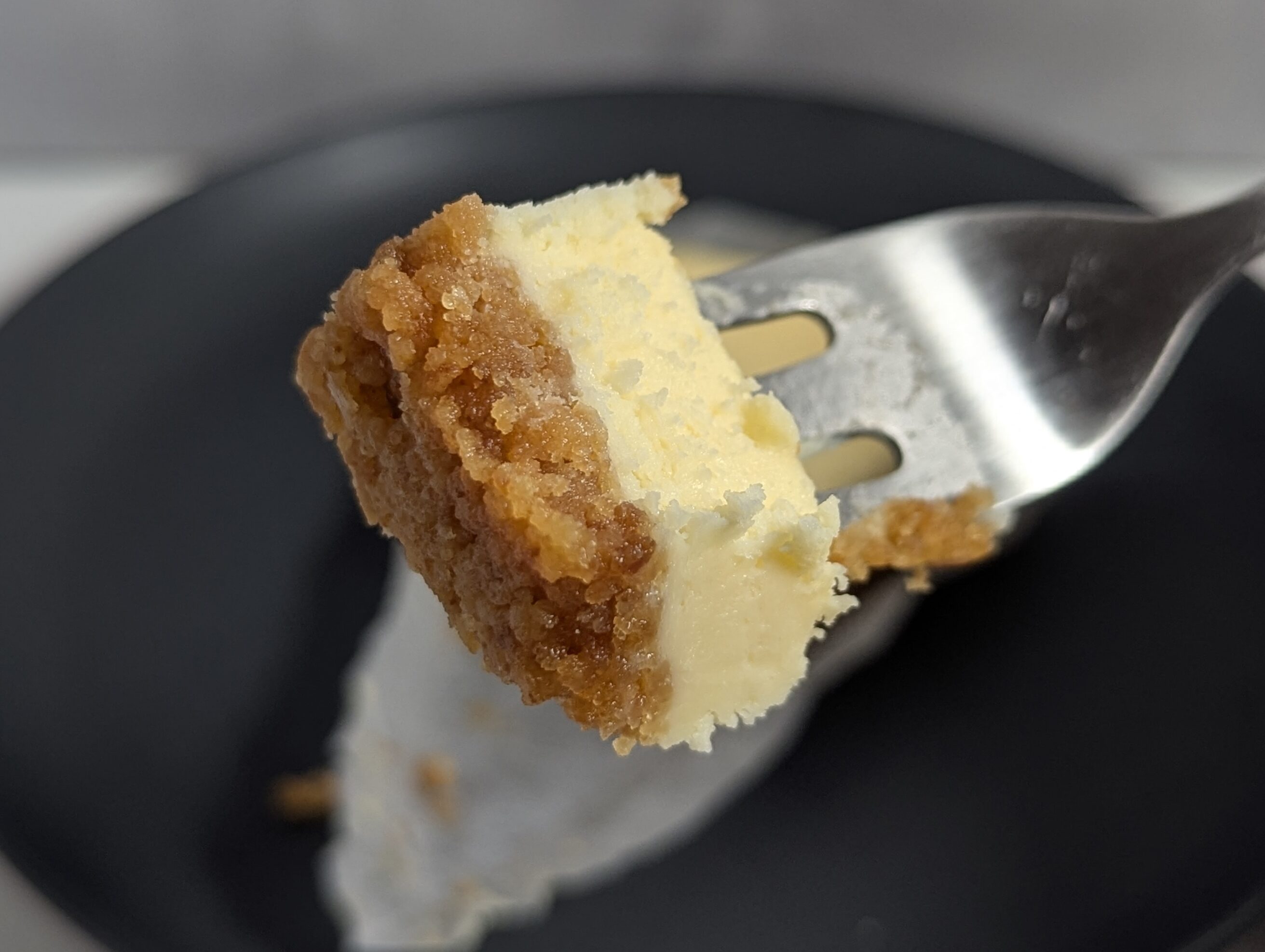 セブンイレブン、ニューヨークチーズケーキ (20)