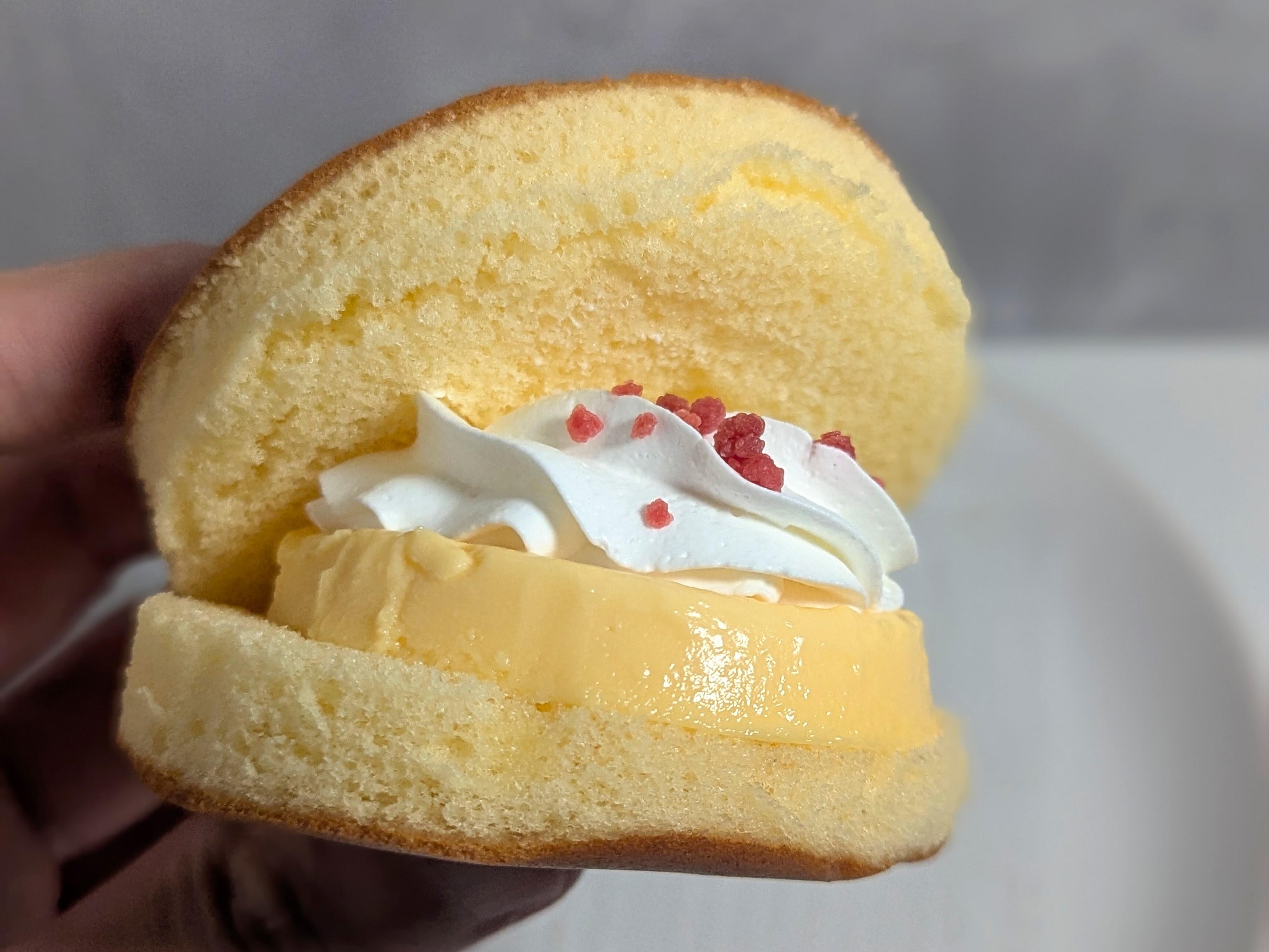 チーズプリンバーガー（ロピア） (15)