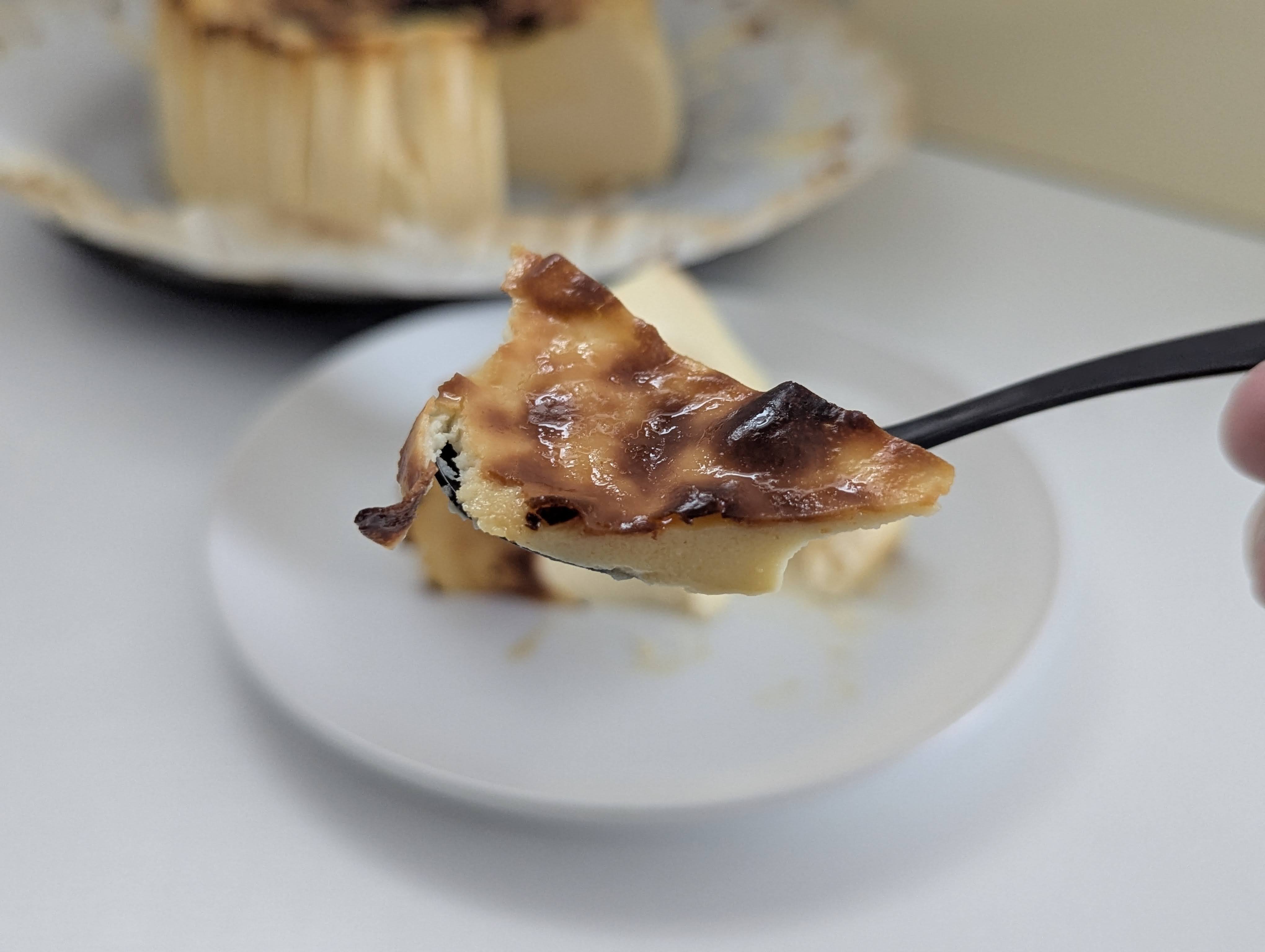 GAZTA（ガスタ）バスクチーズケーキ (18)