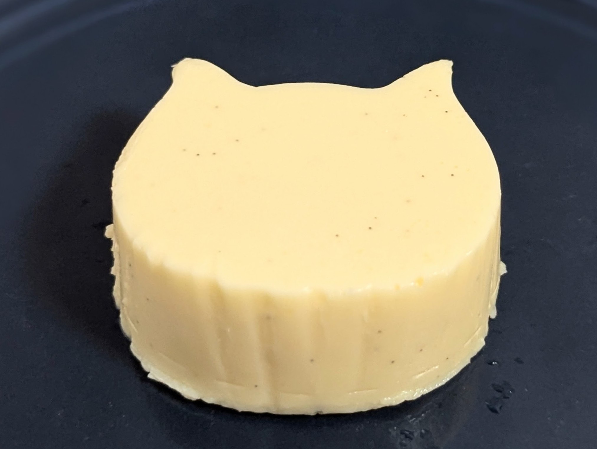 ファミリーマート、商品名：にゃんともおいしいチーズケーキ　塩バニラ (13)