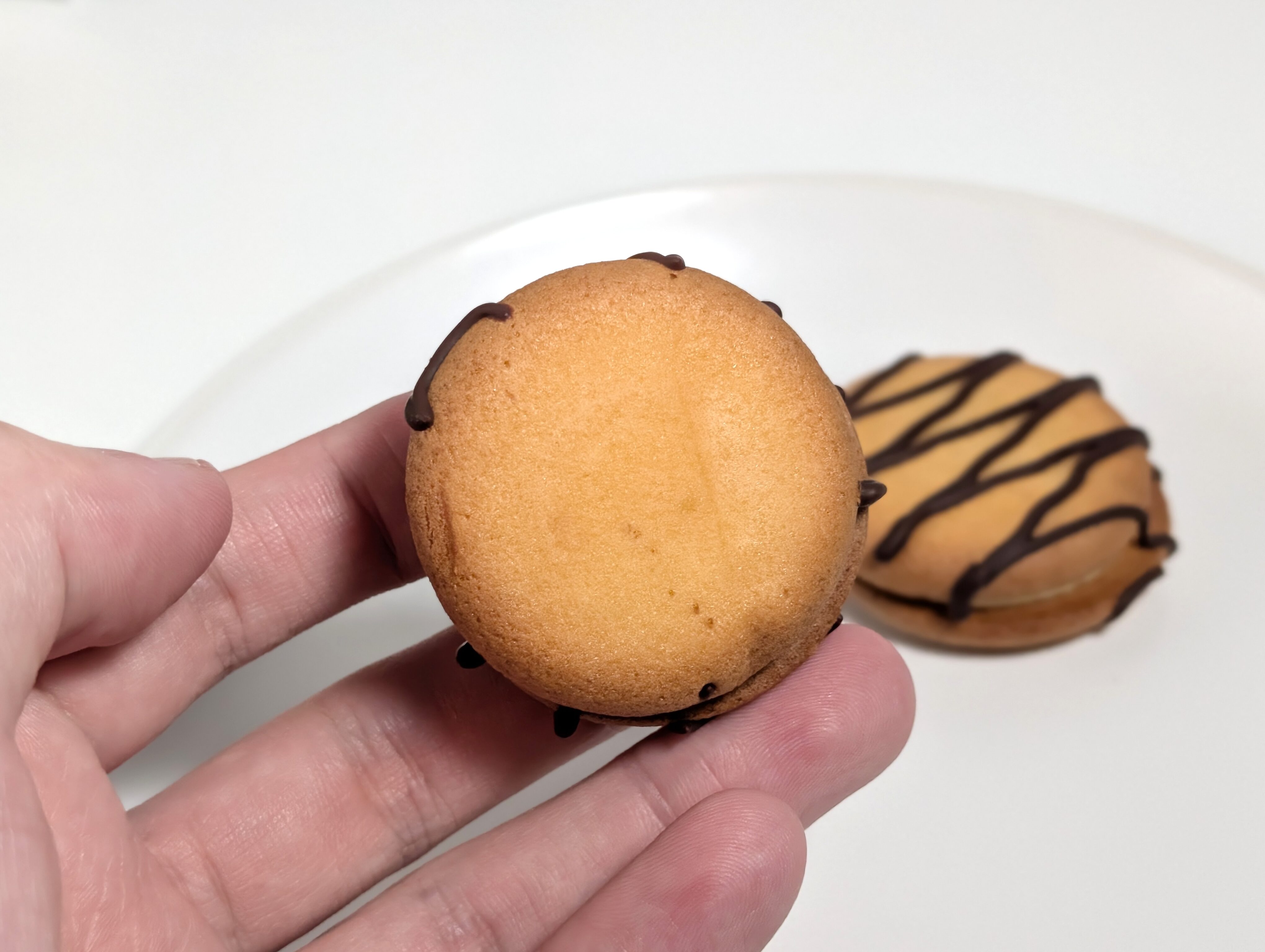 ロッテ、ふんわりプチケーキ ことりっぷ ふんわりプチケーキ＜リディのチーズケーキ＞ (2)