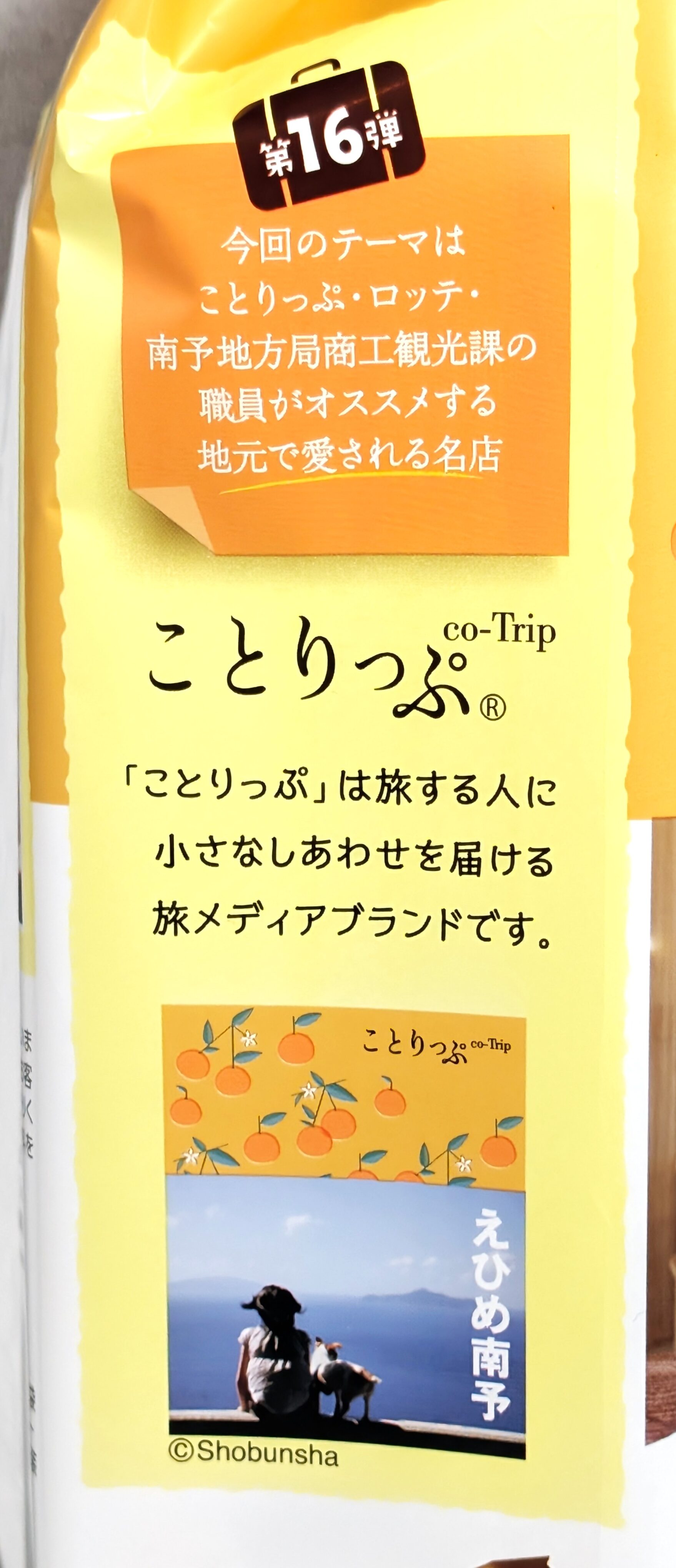 ロッテ、ふんわりプチケーキ ことりっぷ ふんわりプチケーキ＜リディのチーズケーキ＞ (2)