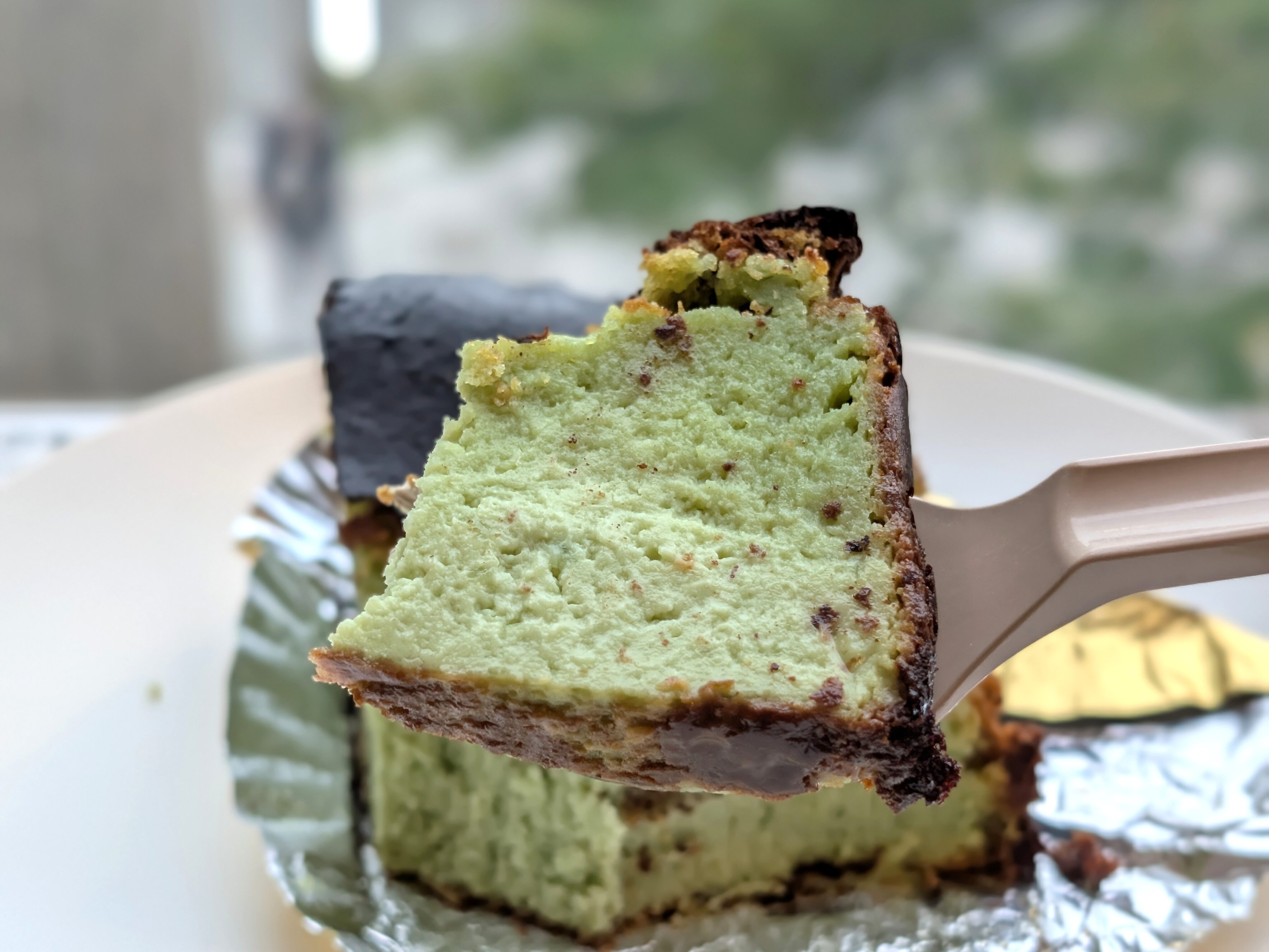 ヴィドフランス バスクチーズケーキピスタチオ (7)