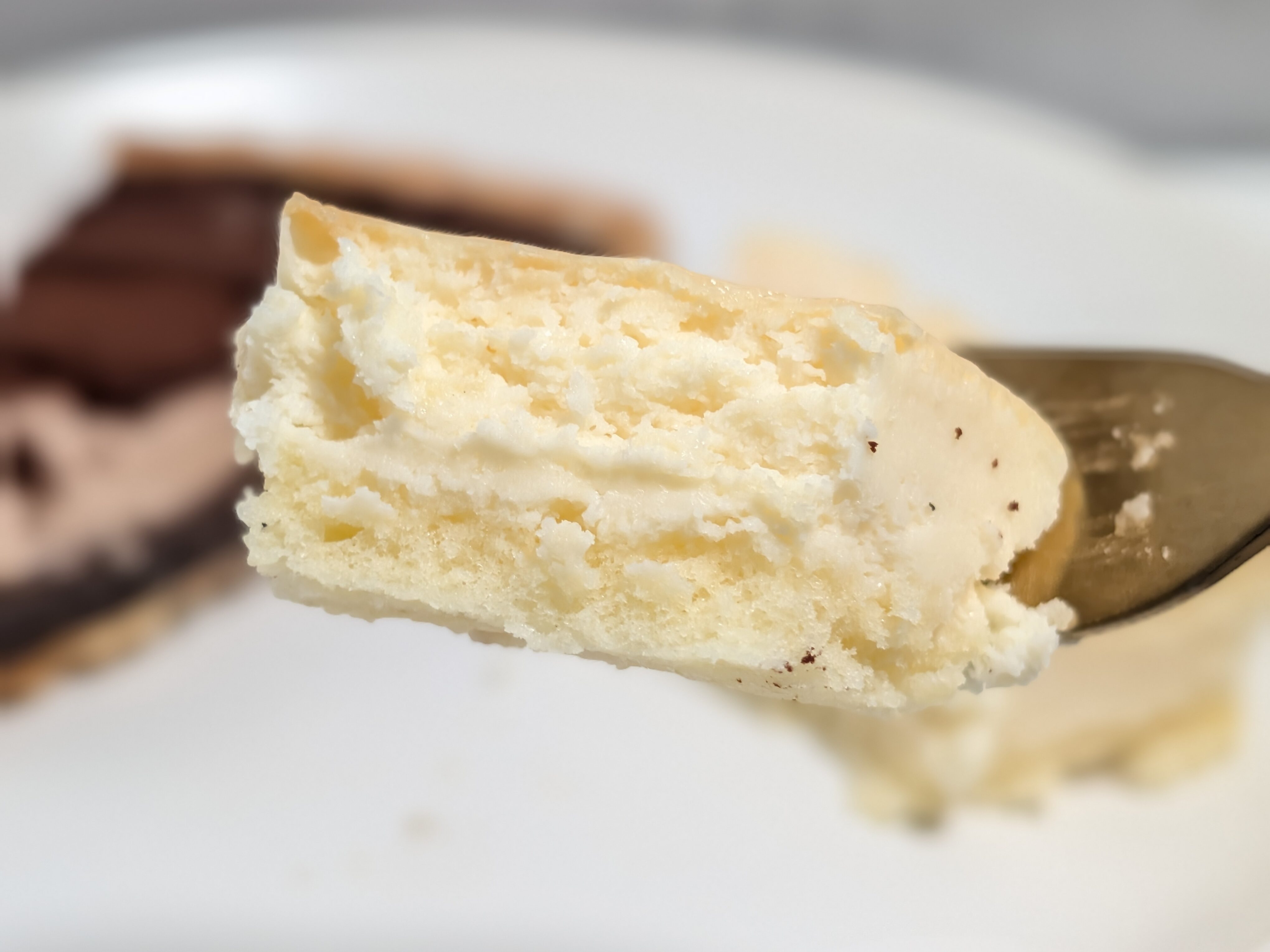 【ドンレミー】Wチョコタルト＆ベイクドチーズケーキ (3)