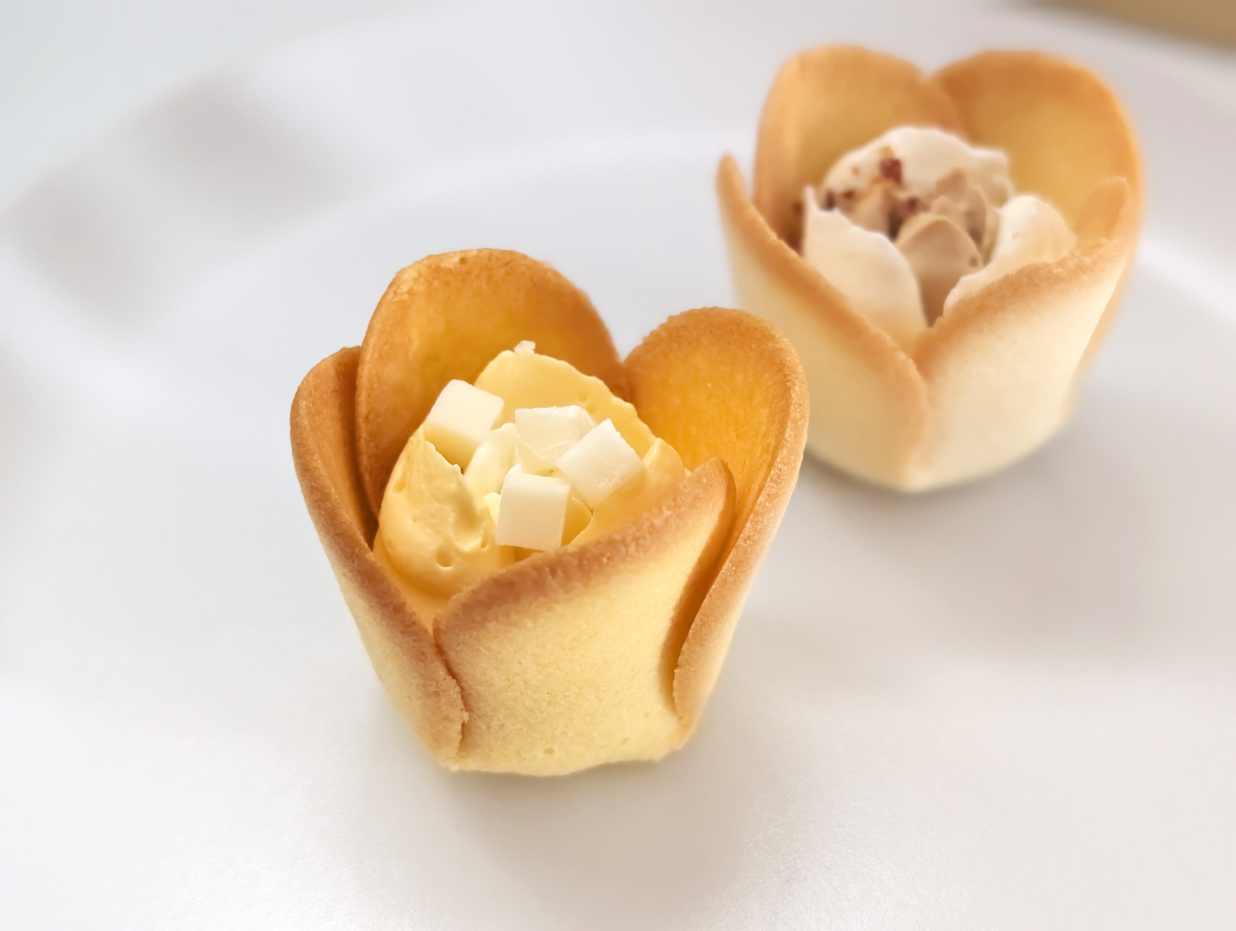 「TOKYO TULIP ROSE（トーキョーチューリップローズ） (7)